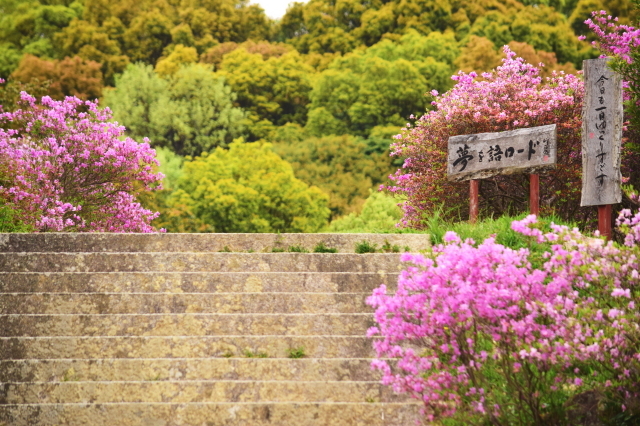 f0368610_20104534.jpg