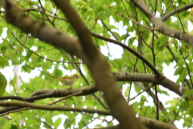 f0368610_20110999.jpg