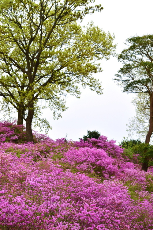 f0368610_20112177.jpg