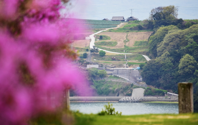 f0368610_20112788.jpg