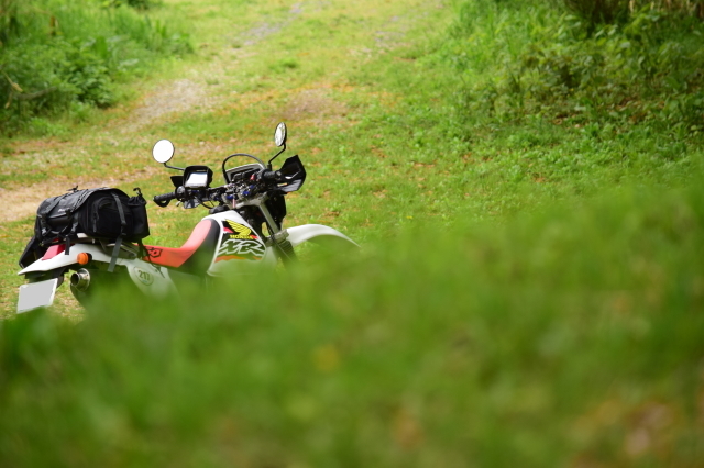 f0368610_20113378.jpg