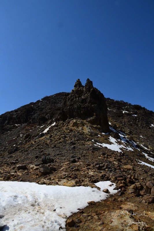 b0223512_00052499.jpg
