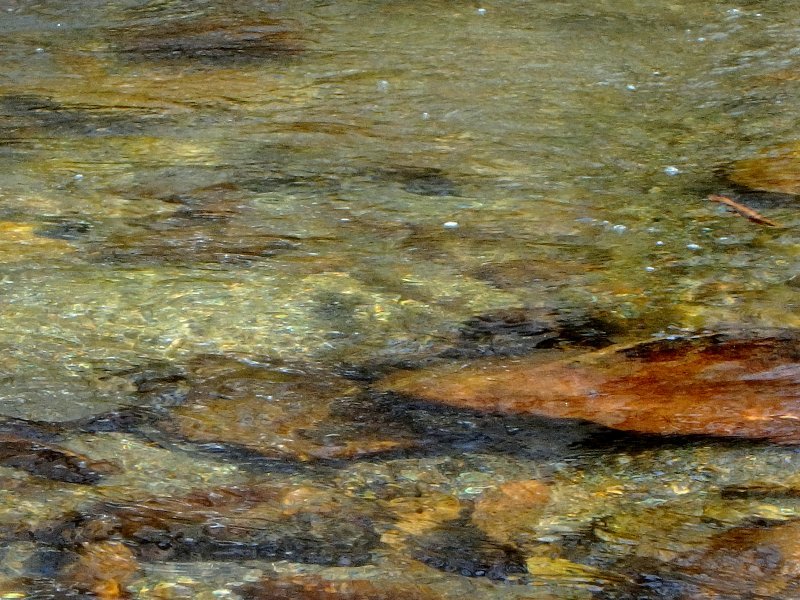 d0091323_11153666.jpg