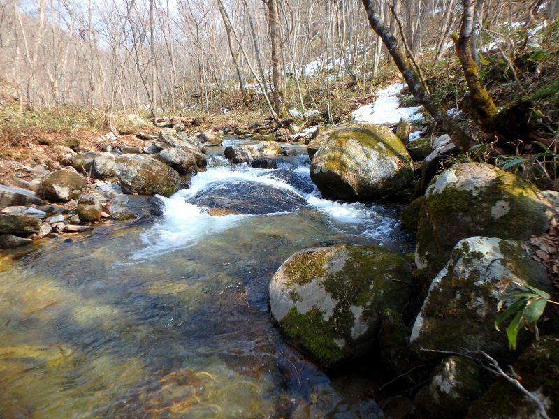 d0091323_11162104.jpg