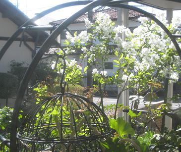 f0166824_975025.jpg
