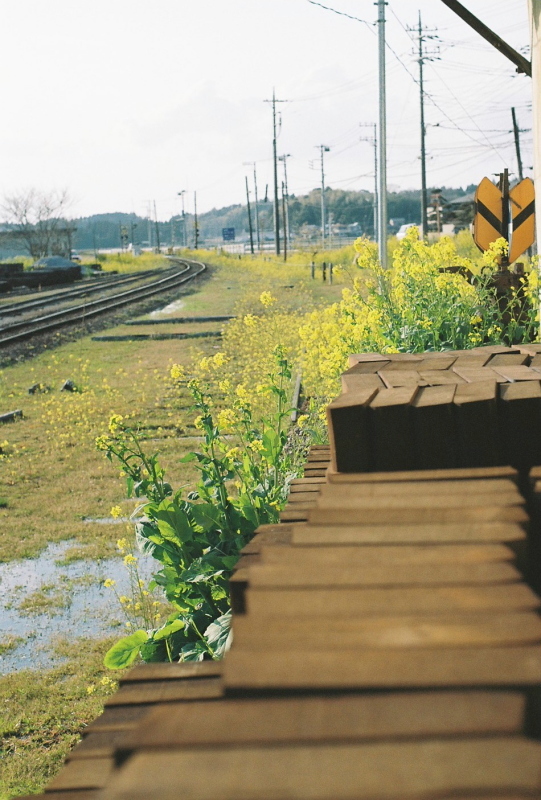 f0358531_17422850.jpg