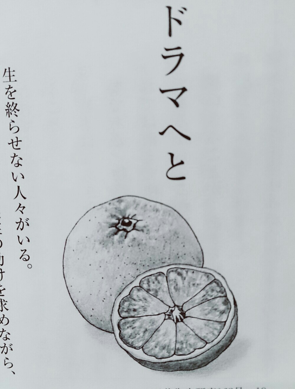 a0326636_04440270.jpg