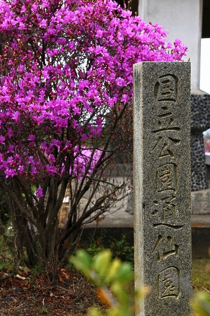 a0242438_20381996.jpg