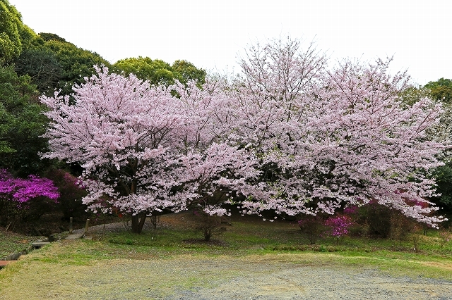 a0242438_20392671.jpg