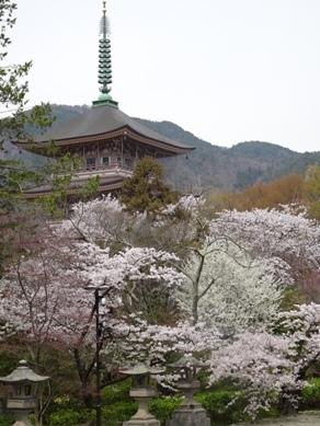 f0368538_17293749.jpg