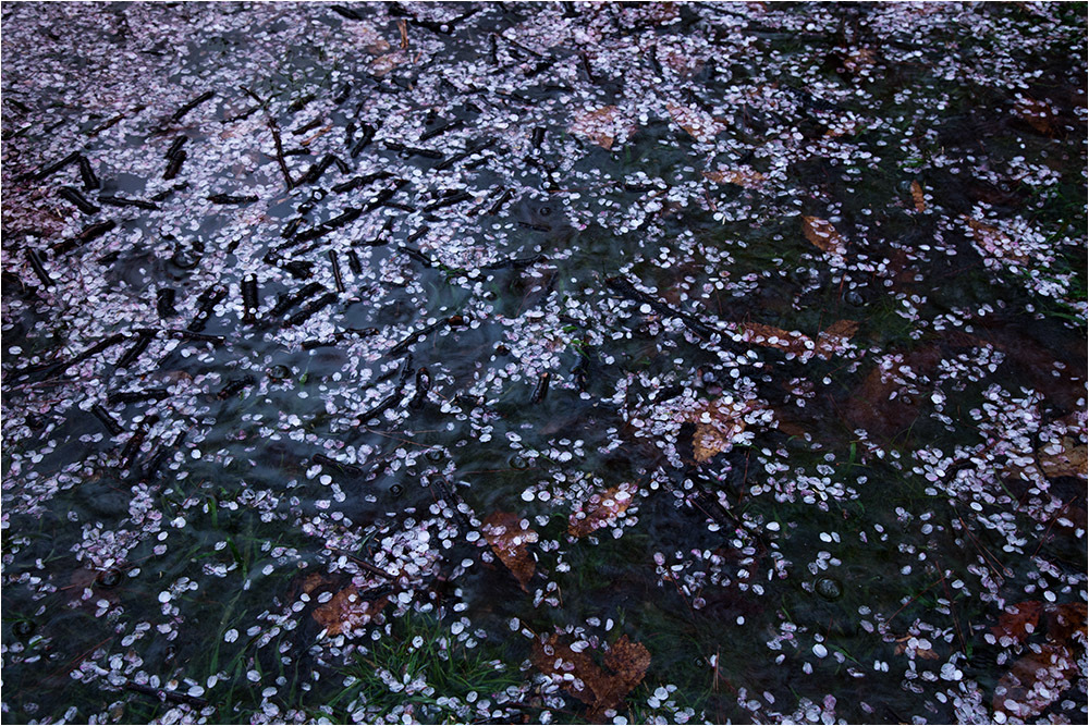 d0328840_10565500.jpg