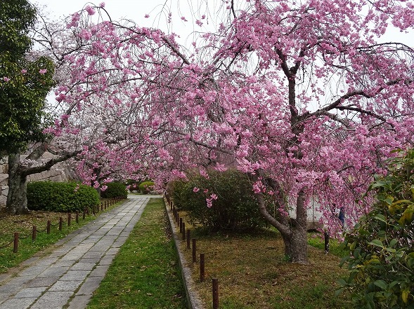 b0299042_09265210.jpg