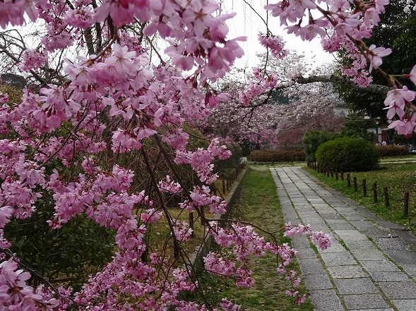 b0299042_09270685.jpg