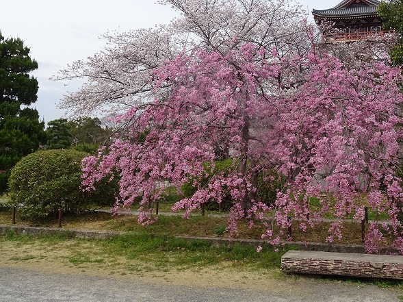 b0299042_09273143.jpg