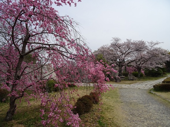 b0299042_09283687.jpg