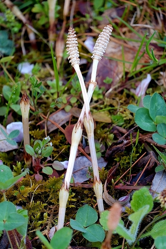 b0314043_07361692.jpg