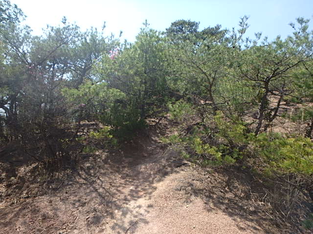 f0334143_8314882.jpg