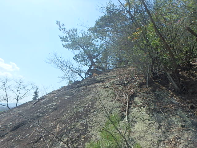f0334143_8322943.jpg