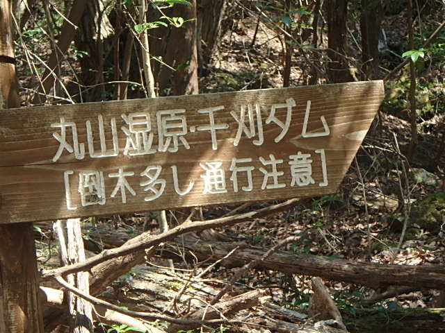 f0334143_8362152.jpg