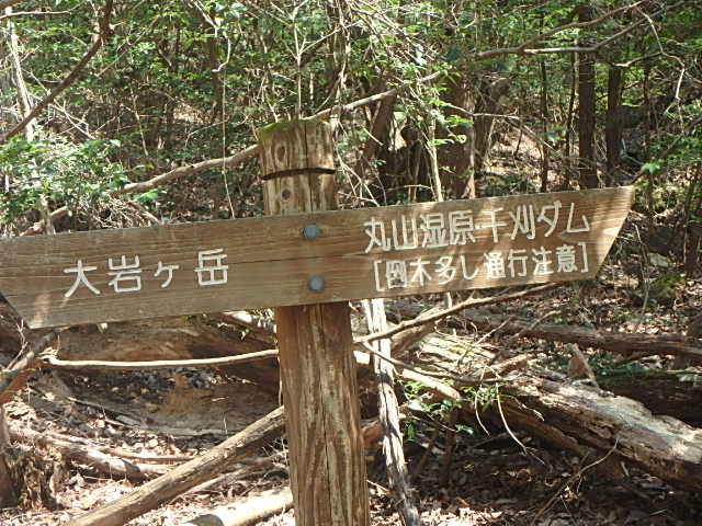 f0334143_83633.jpg