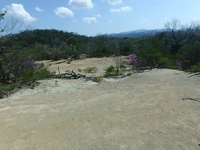 f0334143_837264.jpg