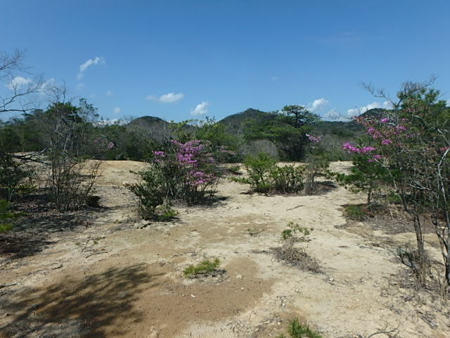 f0334143_8403587.jpg