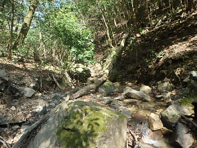 f0334143_8414840.jpg