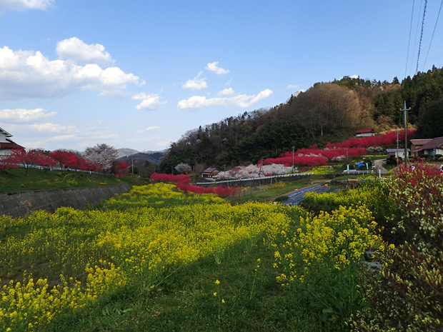 f0214649_03512266.jpg