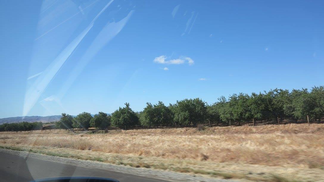 c0355451_02114490.jpg