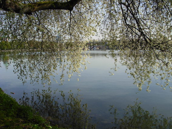 e0365654_22354342.jpg