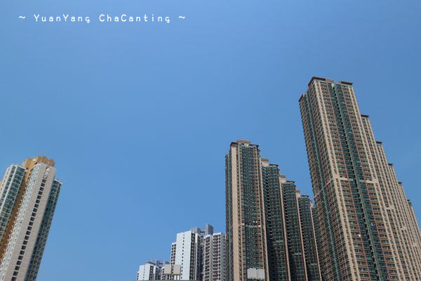 a0132659_09430829.jpg