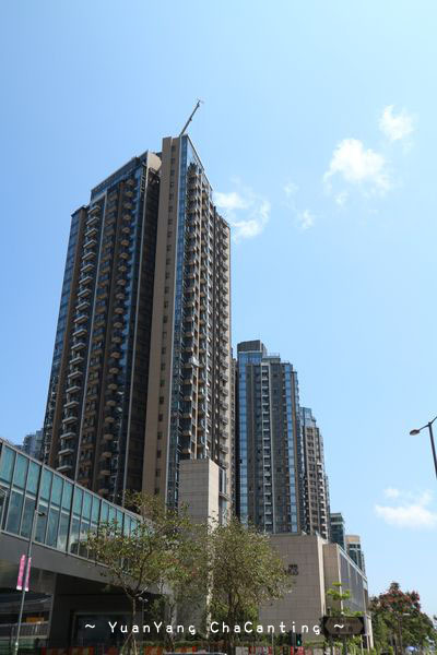 a0132659_09431544.jpg