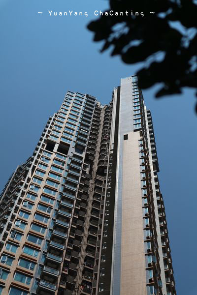 a0132659_09431976.jpg
