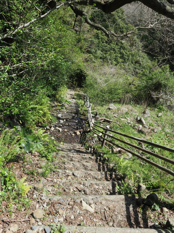 a0073065_20420200.jpg