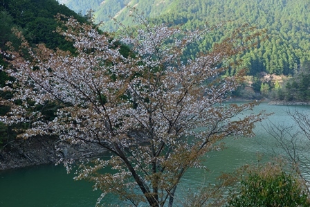 c0303868_09331237.jpg