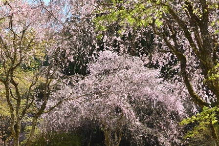 c0303868_09500362.jpg