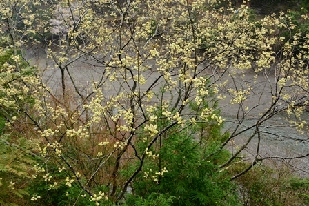c0303868_11433542.jpg