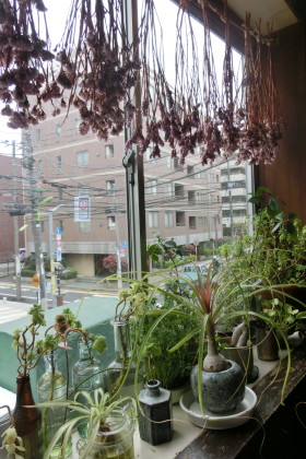 b0193480_15223136.jpg