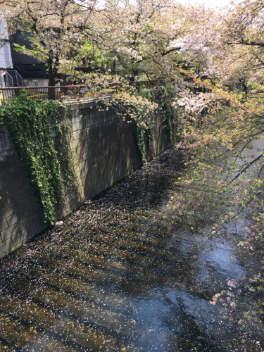 f0207881_07340581.jpg