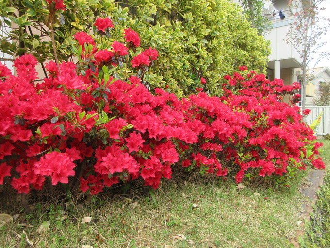 f0053885_20123551.jpg