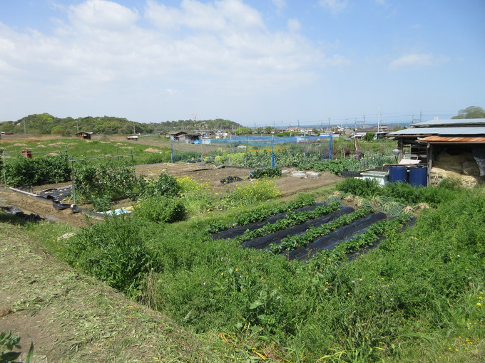 f0053885_2083694.jpg