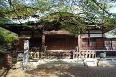 d0183387_13383314.jpg