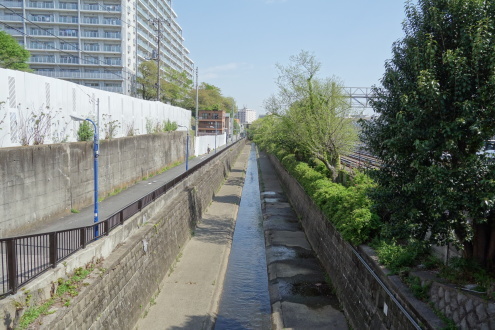 d0183387_22312580.jpg