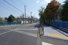 d0183387_22450387.jpg
