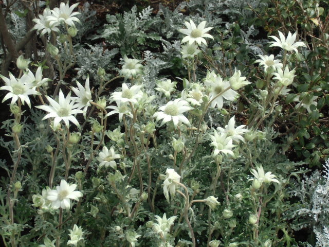 e0114588_07040126.jpg