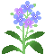 f0229190_13383370.gif