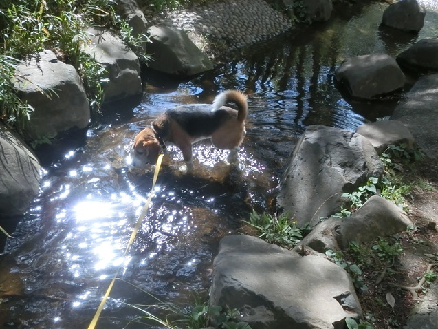 a0319693_8505215.jpg