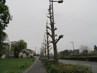 e0048994_11091023.jpg