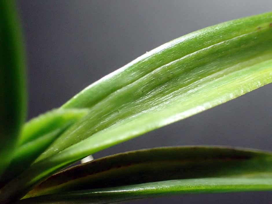 e0363198_18052680.jpg