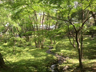 c0106100_09035387.jpg